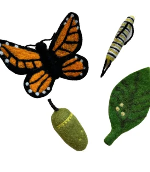 Felt Lifecycle of the Monarch Butterfly Set