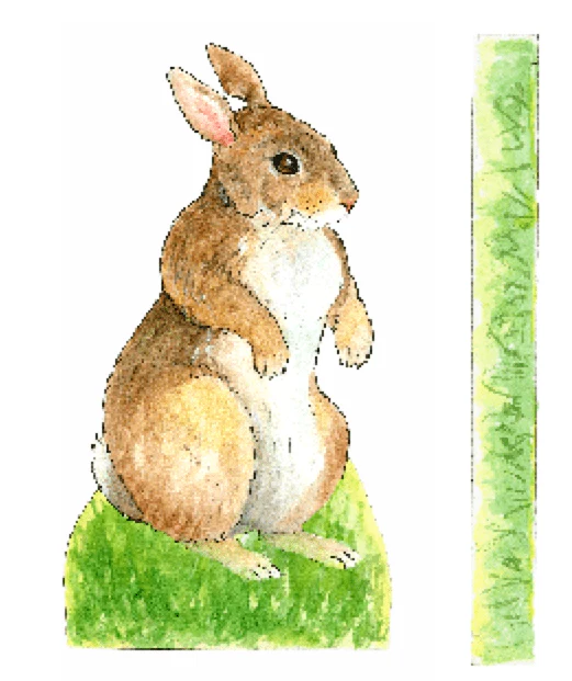 Bunny Rabbit Paper Doll Kit - Image 5