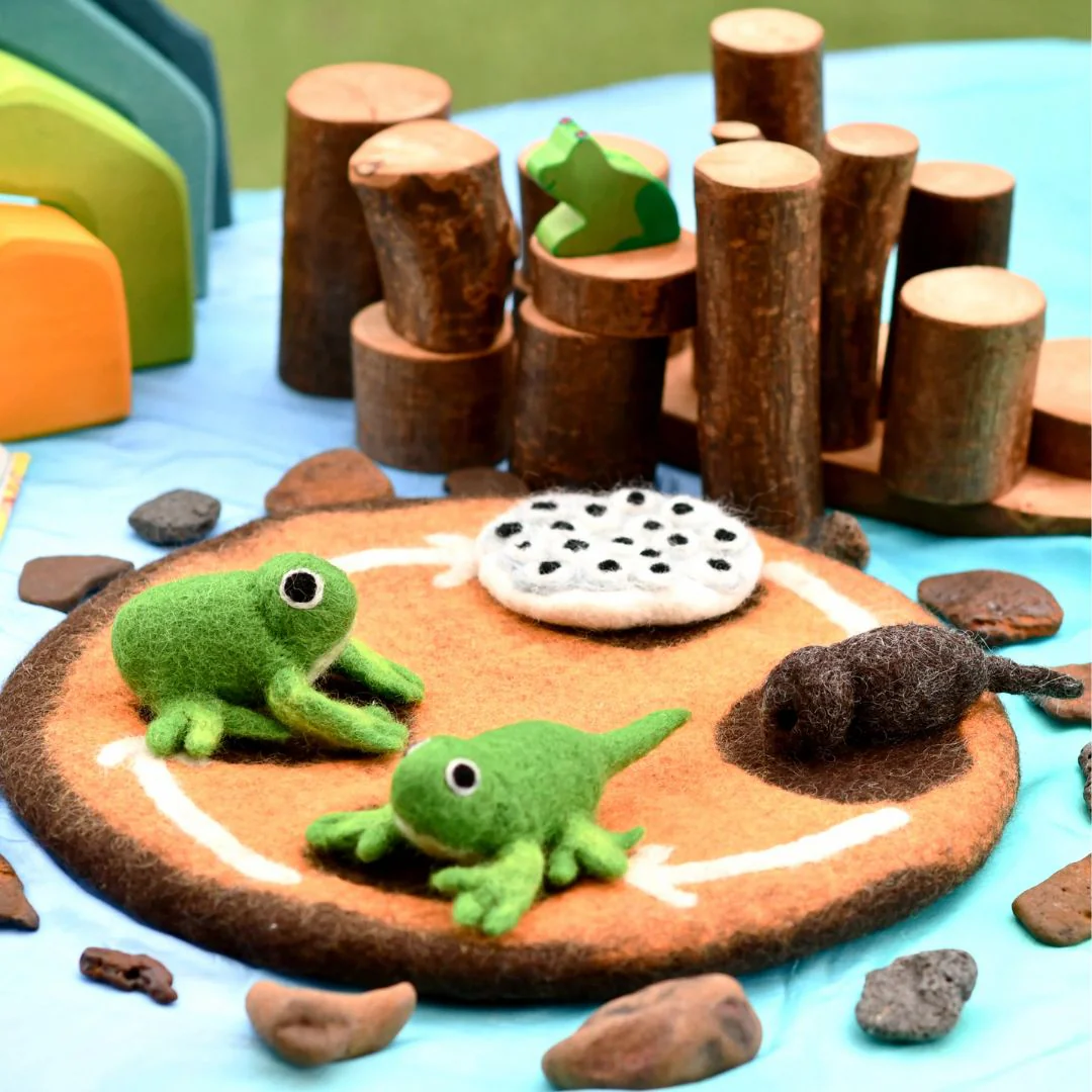 Felt Lifecycle of a Frog Set - Image 5