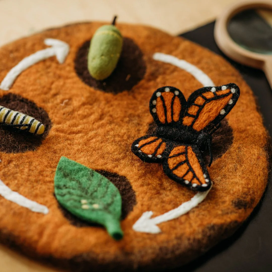 Felt Lifecycle of the Monarch Butterfly Set - Image 3